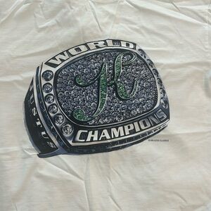 Never worn Kith emerald camps vintage tee in size L with tags on